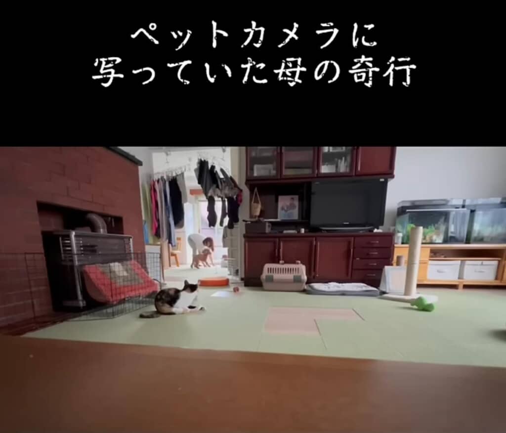 ニコちゃんと戯れあう謎の生物