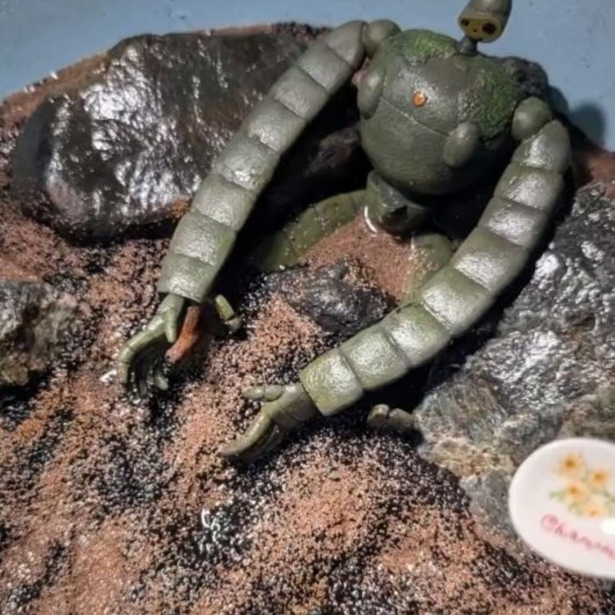 ドバっと“大量の種”をまいてしまった男性→10日後、様子を見に行くと……　驚きの光景に「羨ましい」「夢ある」 | ライフスタイル ねとらぼ