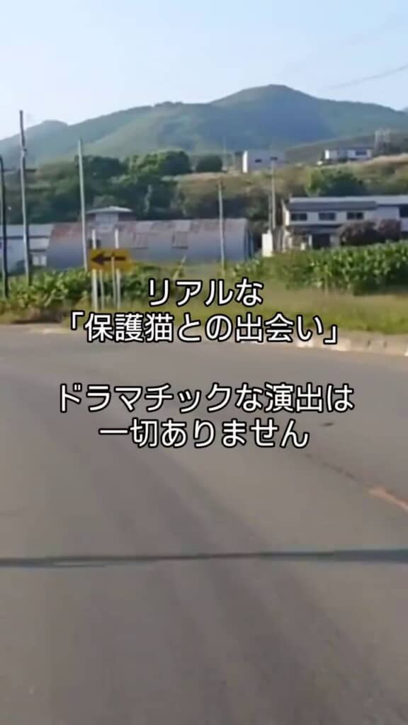 車を運転しながら行ったインスタLIVEの画面