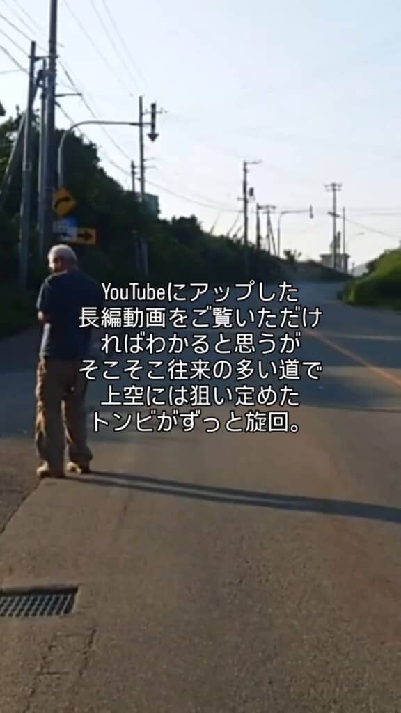 車の往来が多くトンビが上空を飛んでいる