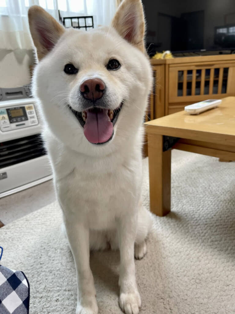 お母さんには天使の笑顔