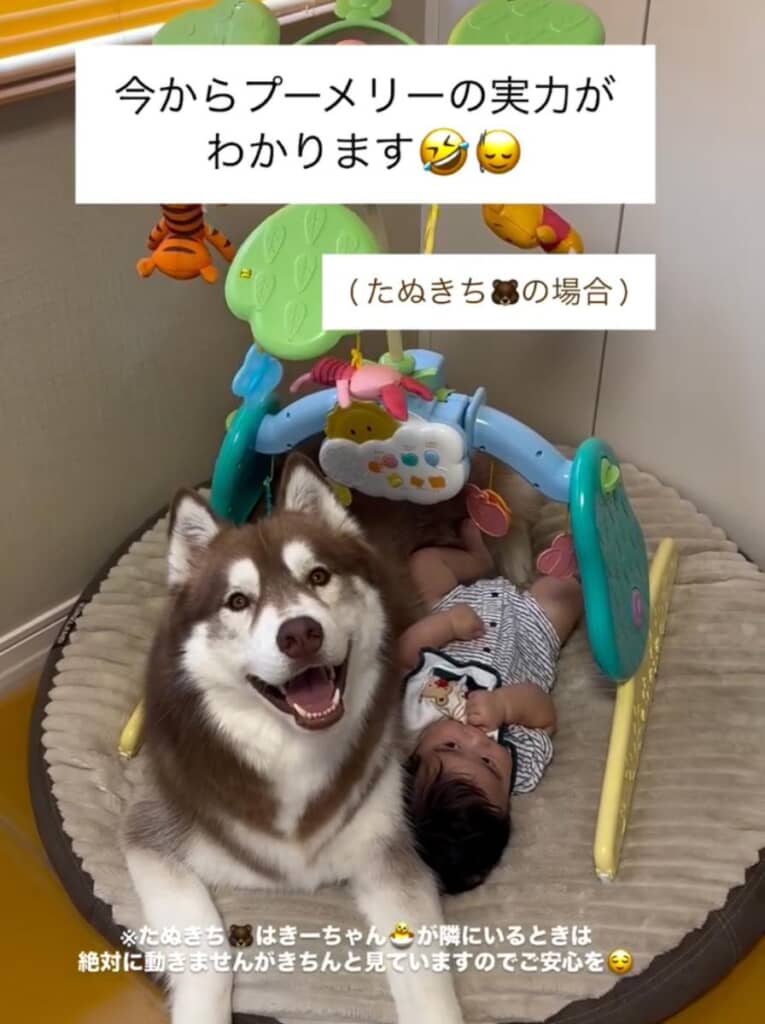 絆一天くんに寄り添うZIGGYくん
