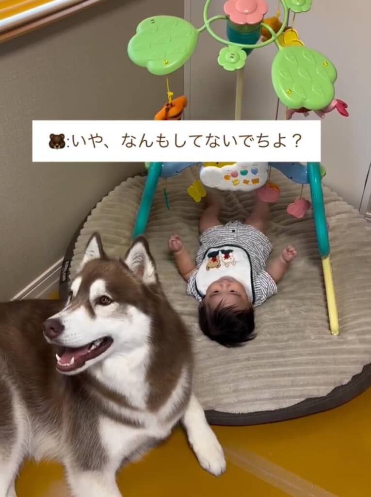 一応、興味のないふり