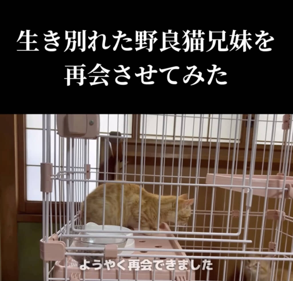 ついに再会！