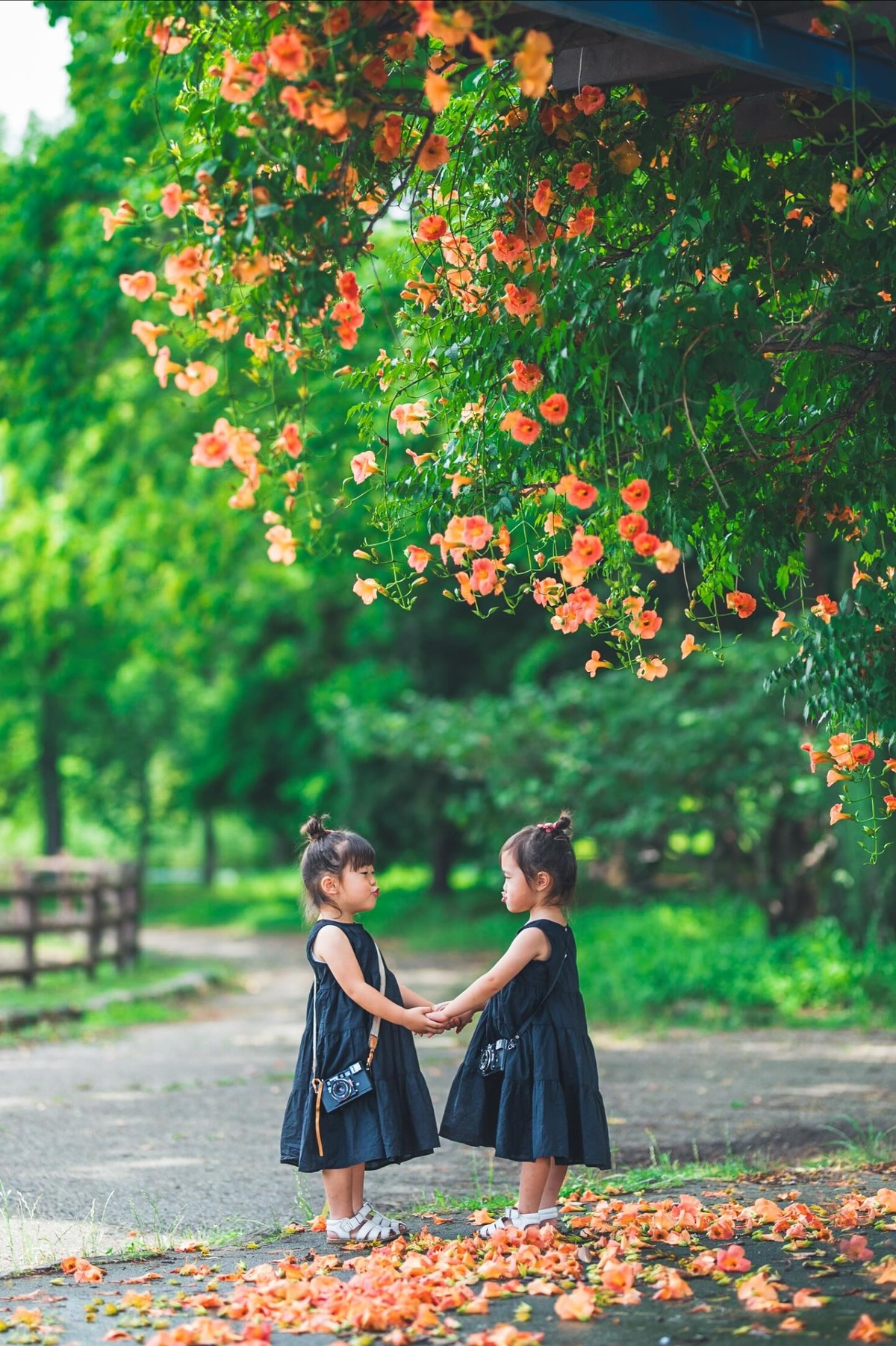 手をつなぐ幼い姉妹が数年後……　「わあ！」同じ場所で撮った“現在”に涙「お姉さんになってる」「ずっと続いて」（1/3） | 教育・子育て ねとらぼ