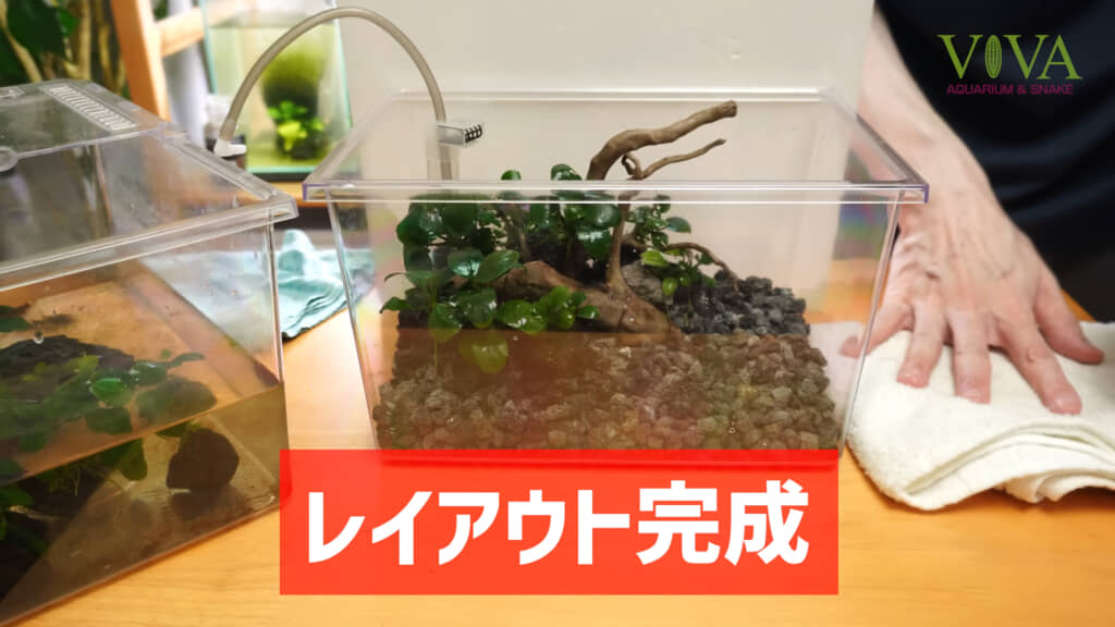 レイアウトが完成しました！