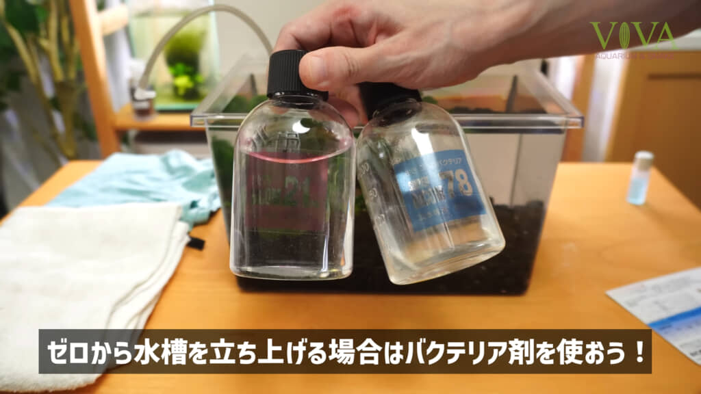 水道水を使う場合はバクテリア剤を使うといいとのこと