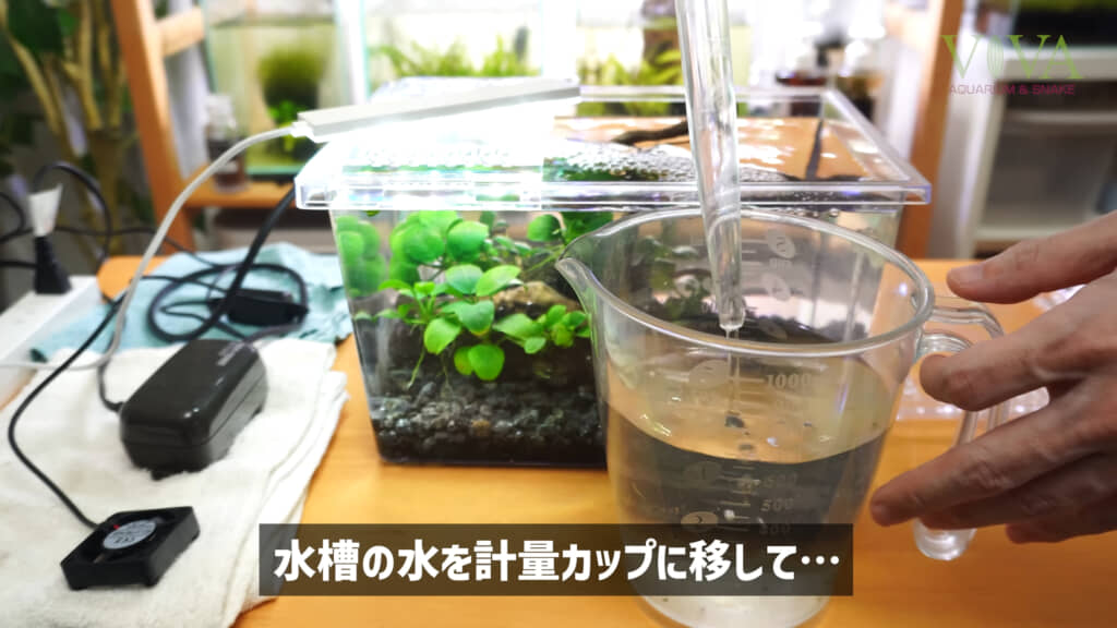 水合わせは慎重に