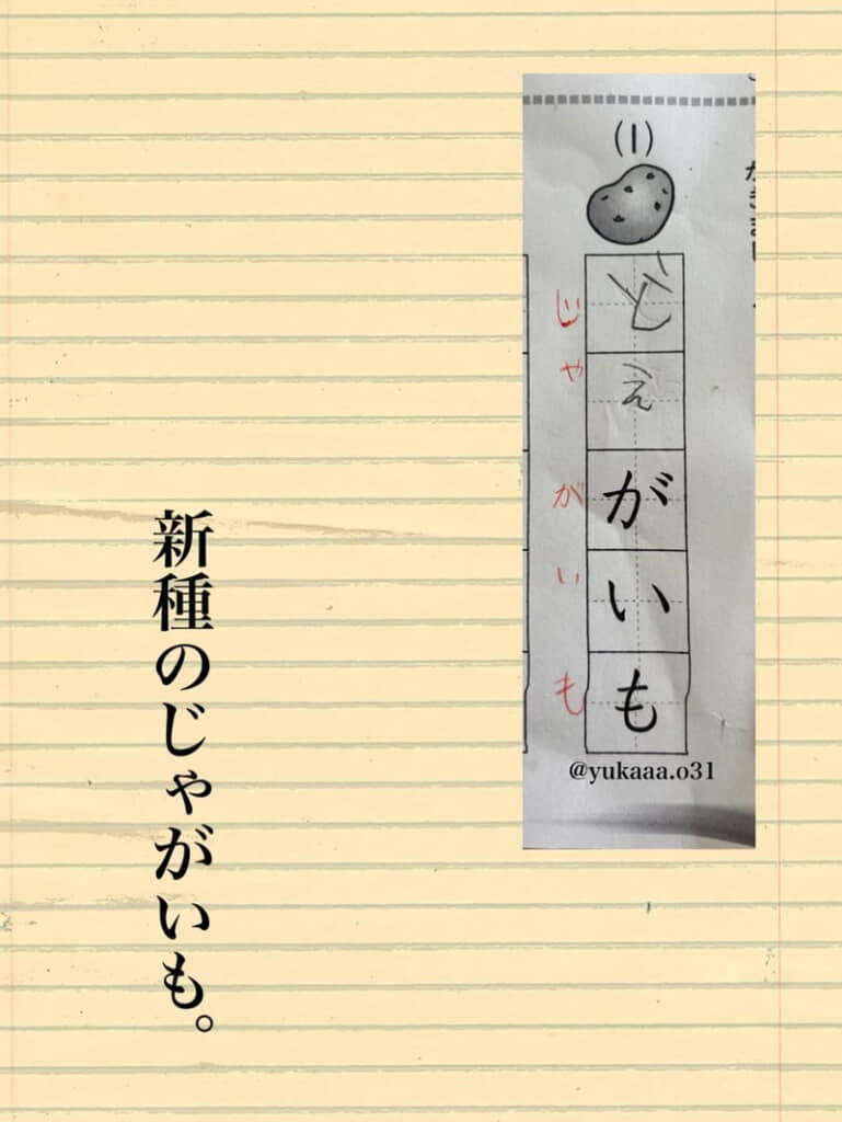 じゃ……どえがいも？