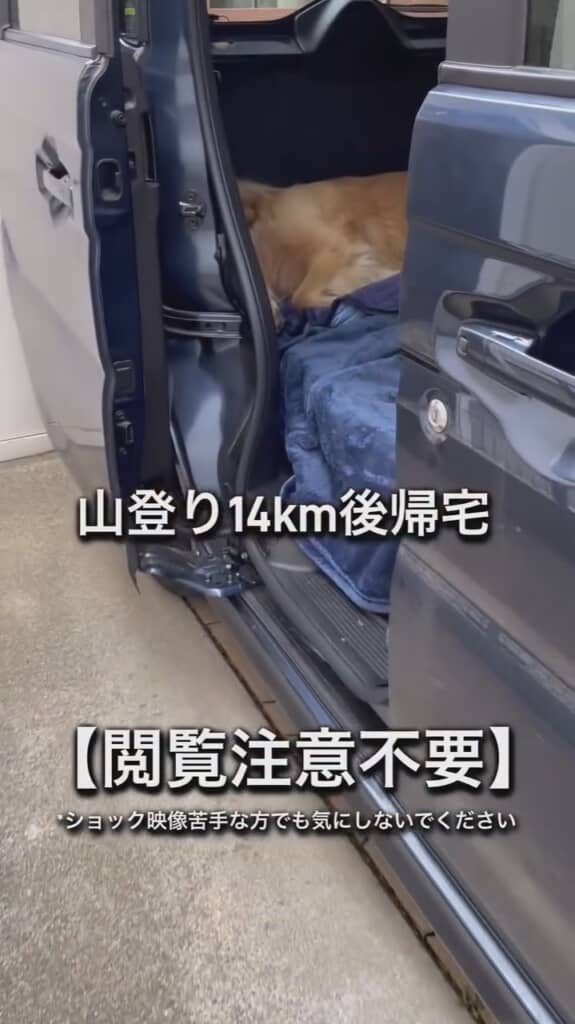 そっと近づく飼い主さん