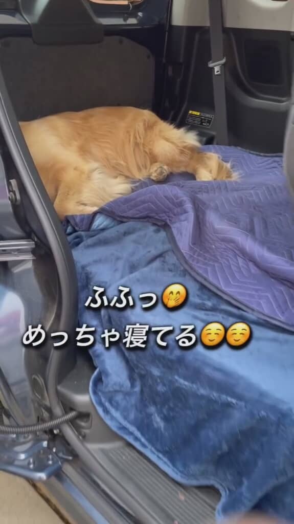 よく寝ているようですね