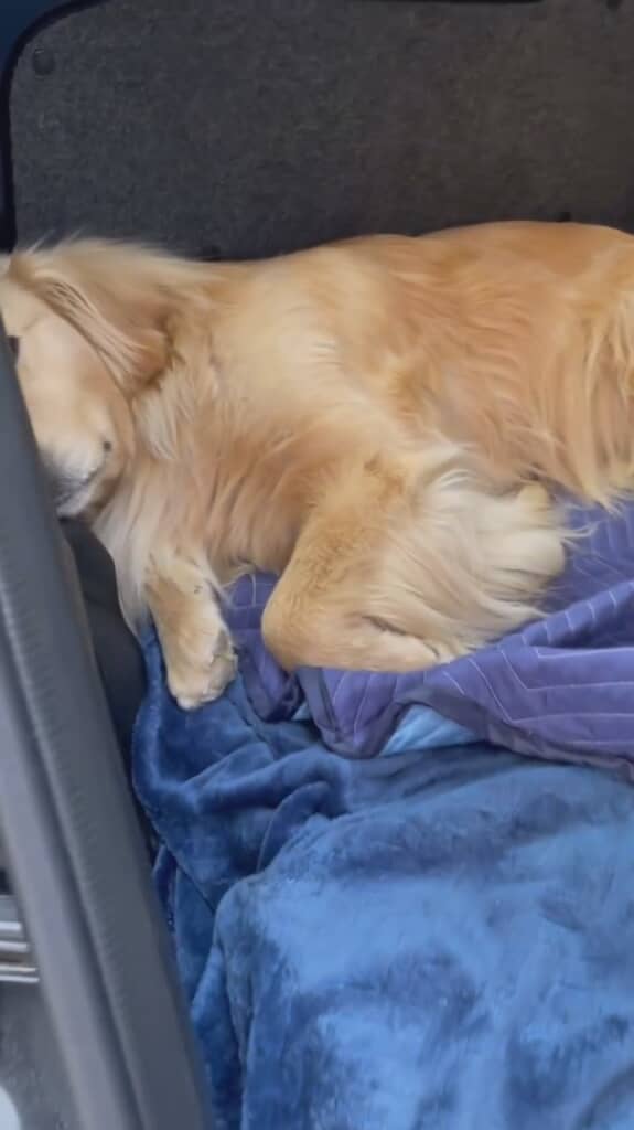 熟睡なのかな～？