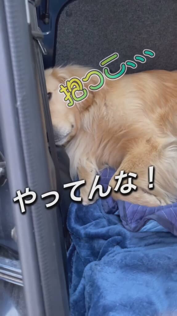 アーロンくん抱っこ成功へ