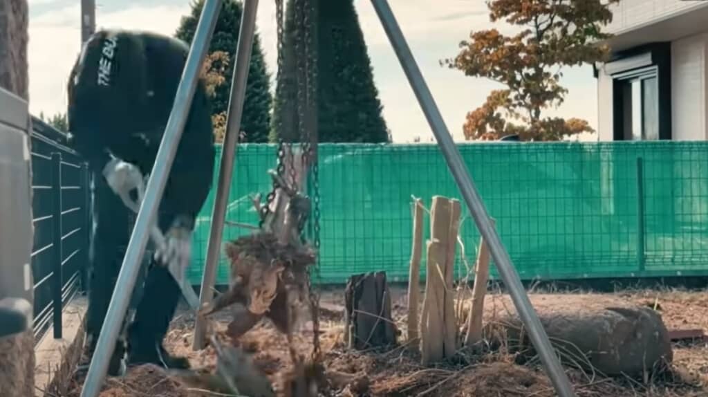 根っこを抜きます