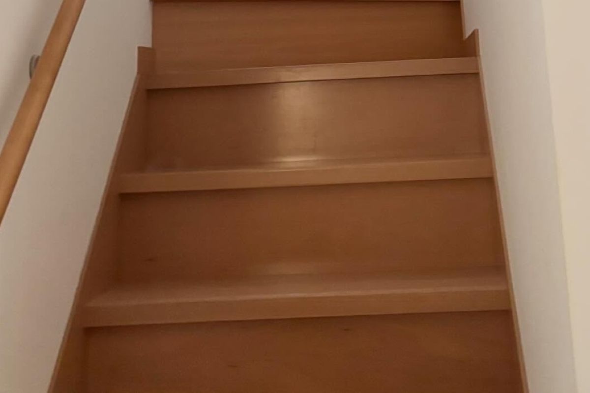 階段で感じた“謎の視線”→ふと顔を上げると……「えっ」　まさかの光景に「腰抜かしました」（1/2） | 猫 ねとらぼ