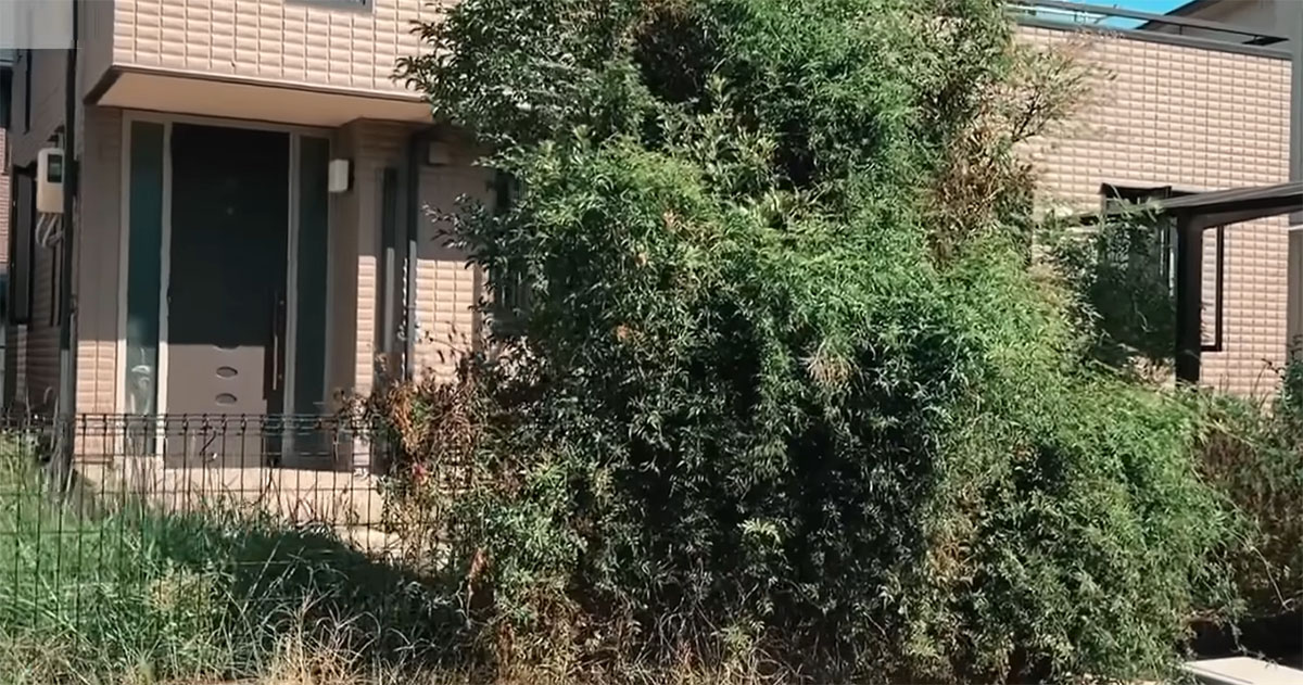 ボーボーの草木を切ると丸見えになる庭→プロの手で大変身！　アッと驚く仕上がりに「素晴らしい」「尊敬です」（1/3） | リフォーム・リノベーション・DIY ねとらぼ