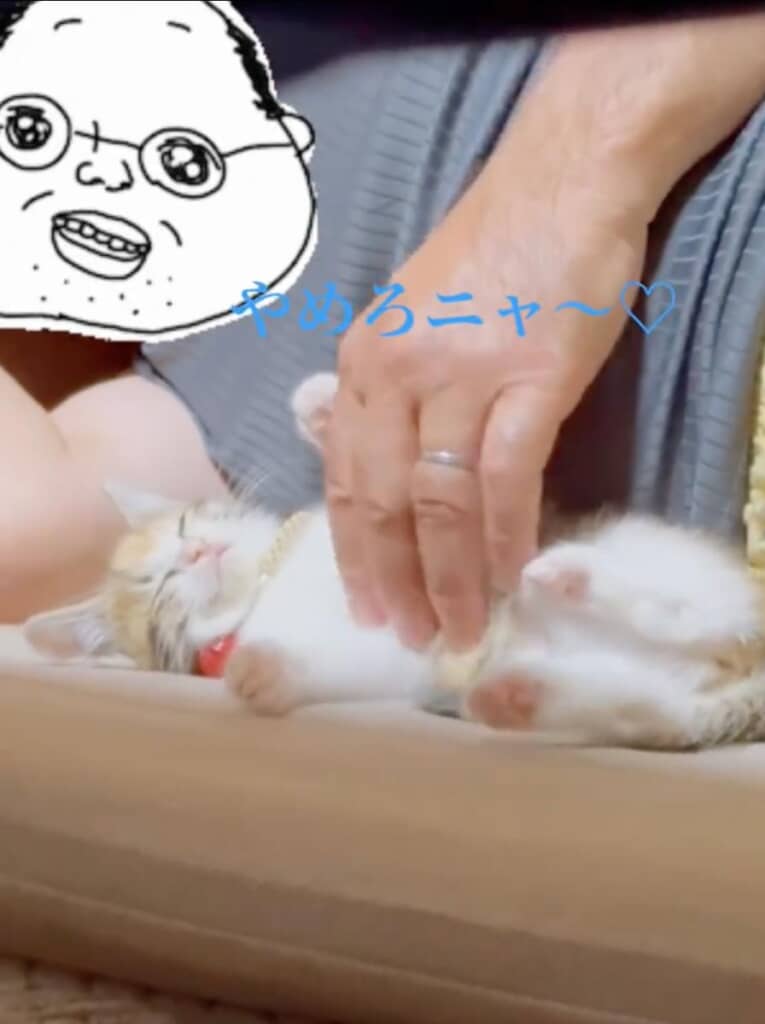 父、猫語を取得