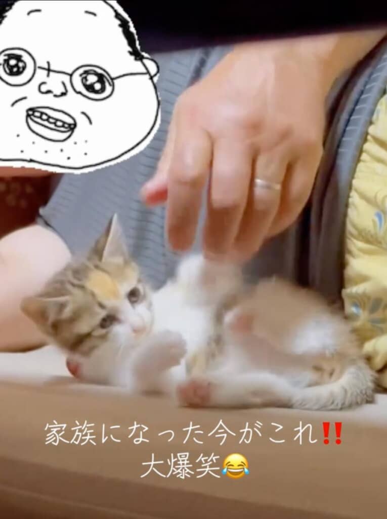 今ではミケちゃんにメロメロ