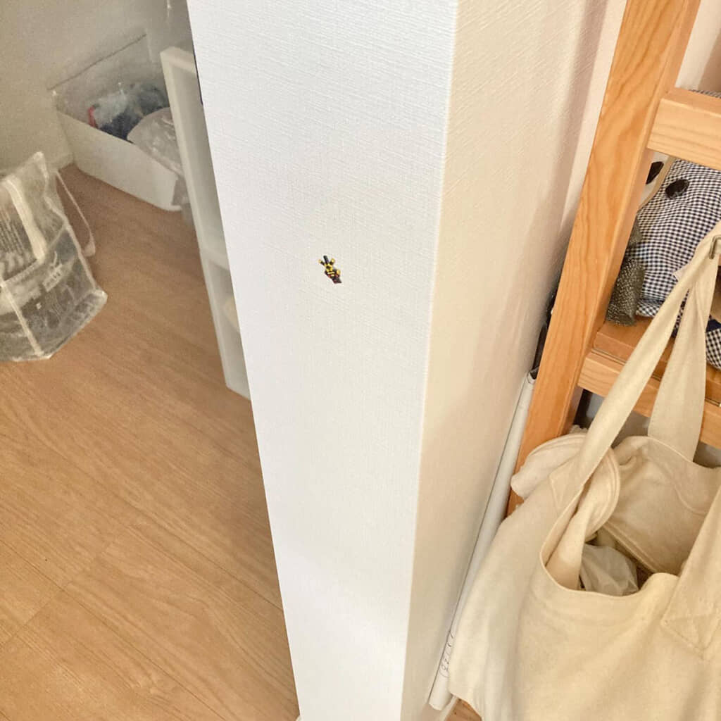 壁に貼りつく虫……？