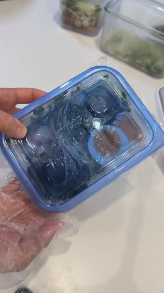 麺と具材を入れてラップし、ふた