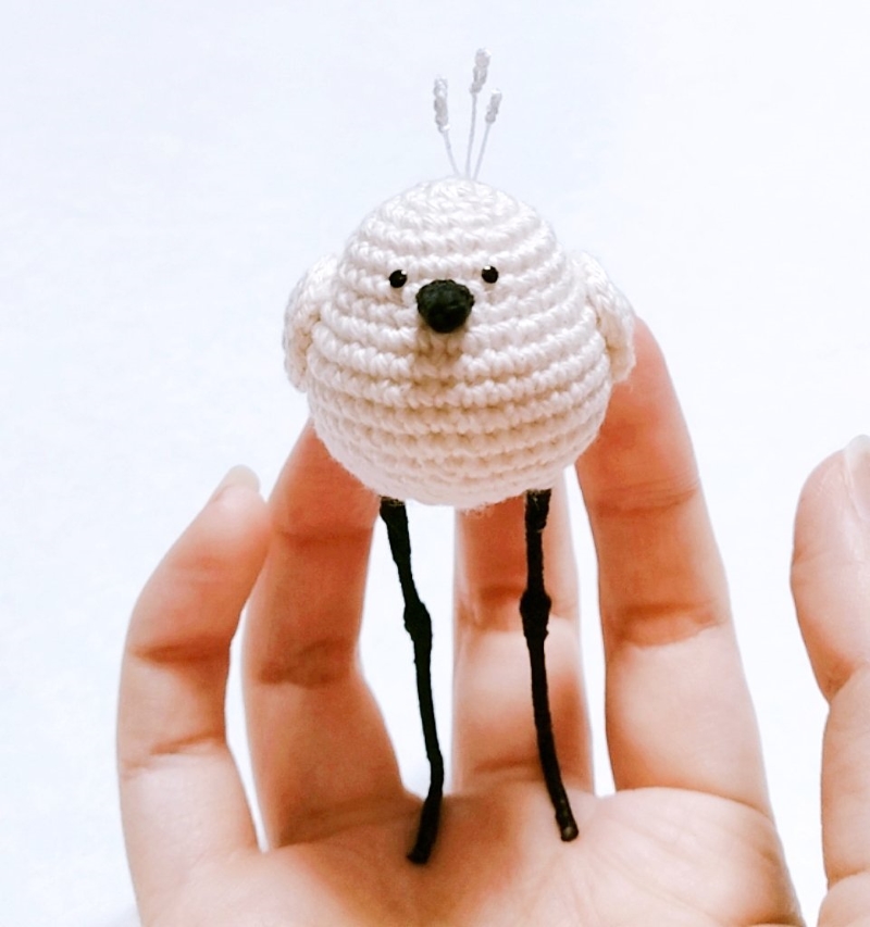 小さなフワフワクイナ