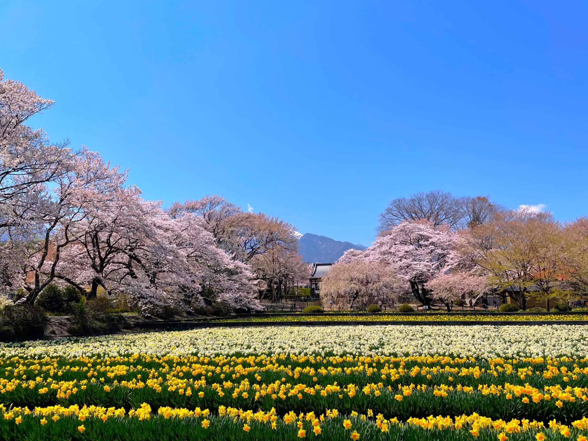 地元民が本当に住みやすいと思う「山梨県の市町村」ランキング！　2位は「昭和町」、1位は？ | 山梨県 ねとらぼリサーチ