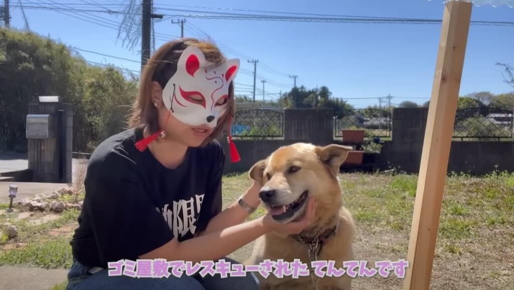 ゴミ屋敷でレスキューされたてんてんちゃん