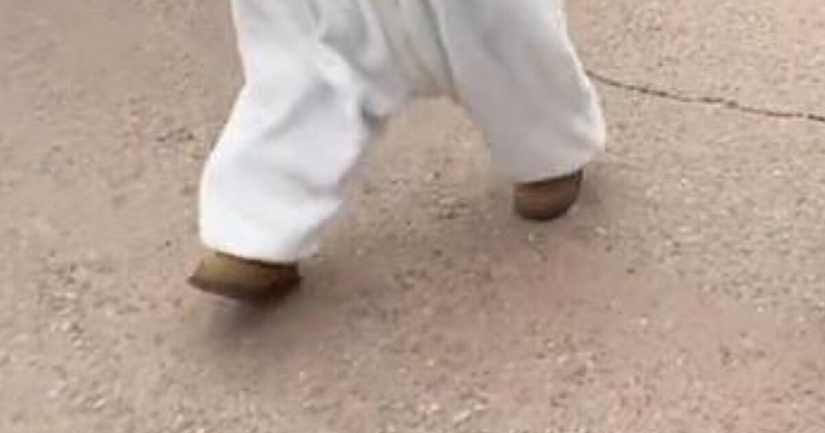 ディズニーで「かわいすぎる！」と言われた1歳息子→まさかのコスプレに「こんなん反則www」「みんな振り返るわ」と330万再生 | 育児 ねとらぼ