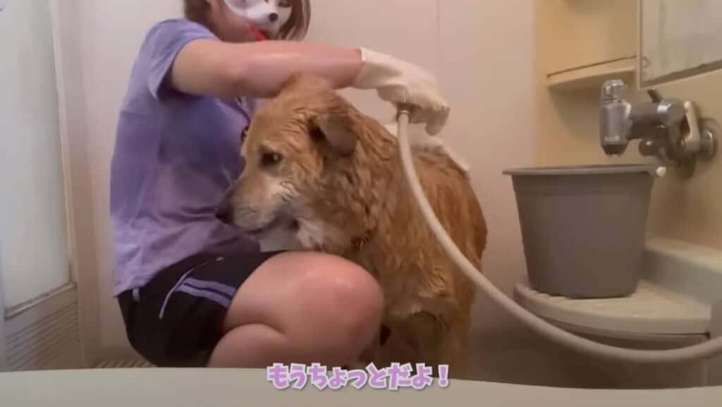 もうちょっとだよ