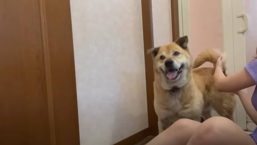 保湿剤を塗ります