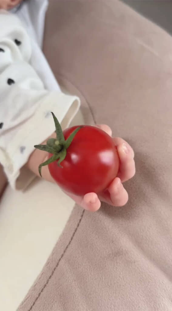 ミニトマトを持つ新生児の息子さん