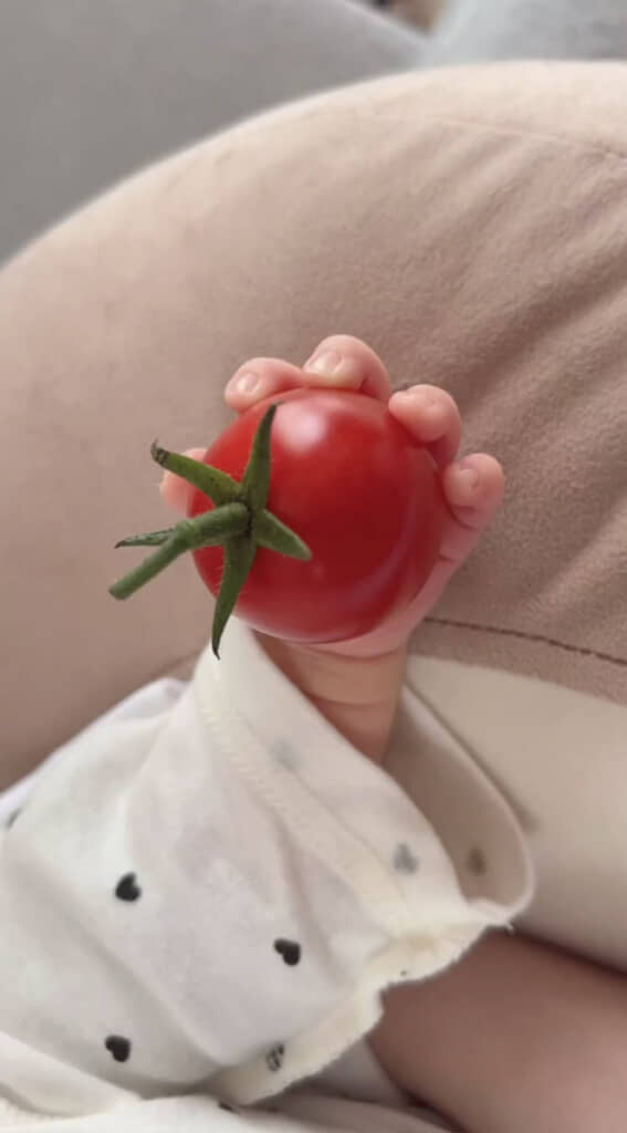 赤ちゃんが持った様子