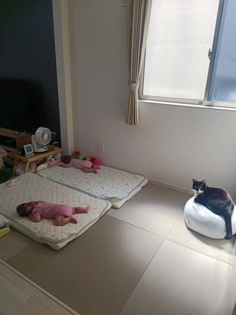 猫ちゃんがしっかり見守っていた