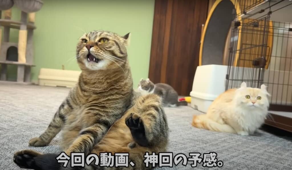 “ホタテ”を使ったある検証を実施