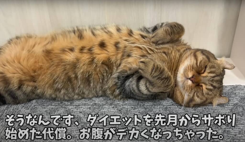 しかし、最近リバウンドしてしまった様子