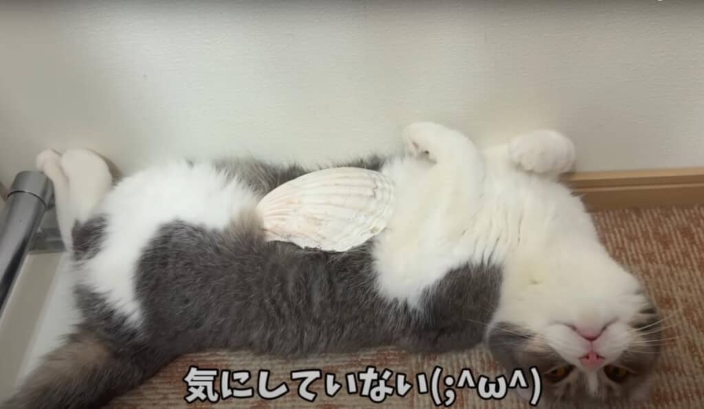 全く気にしない様子のもすけくん