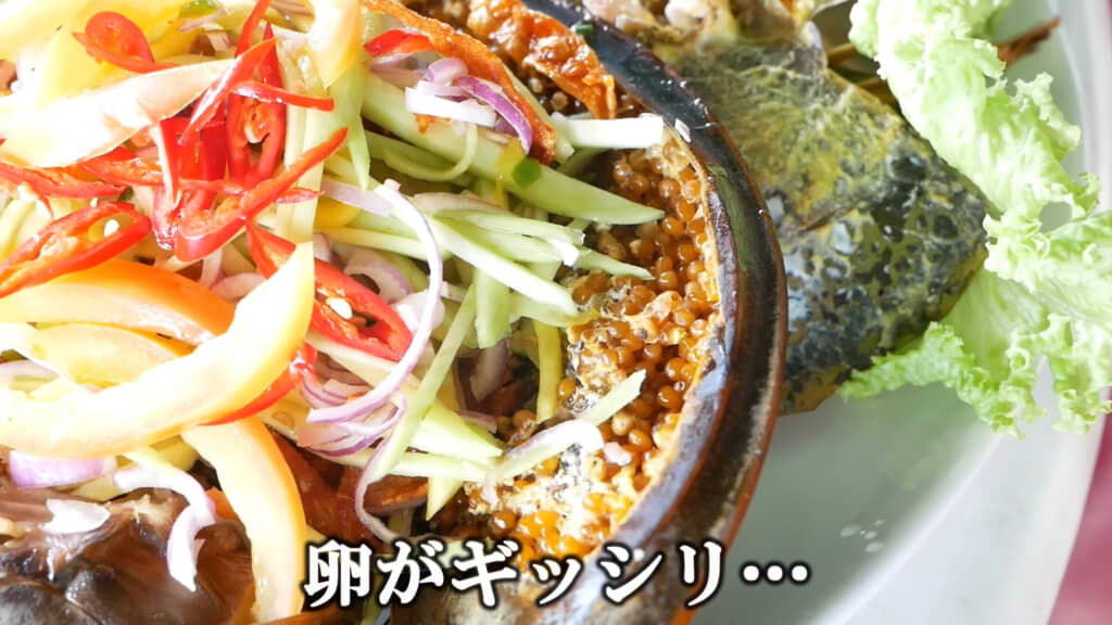 甲羅の内側には卵がぎっしりとくっついています