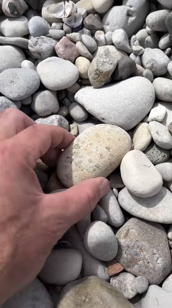 普通の石にしか見えませんが……