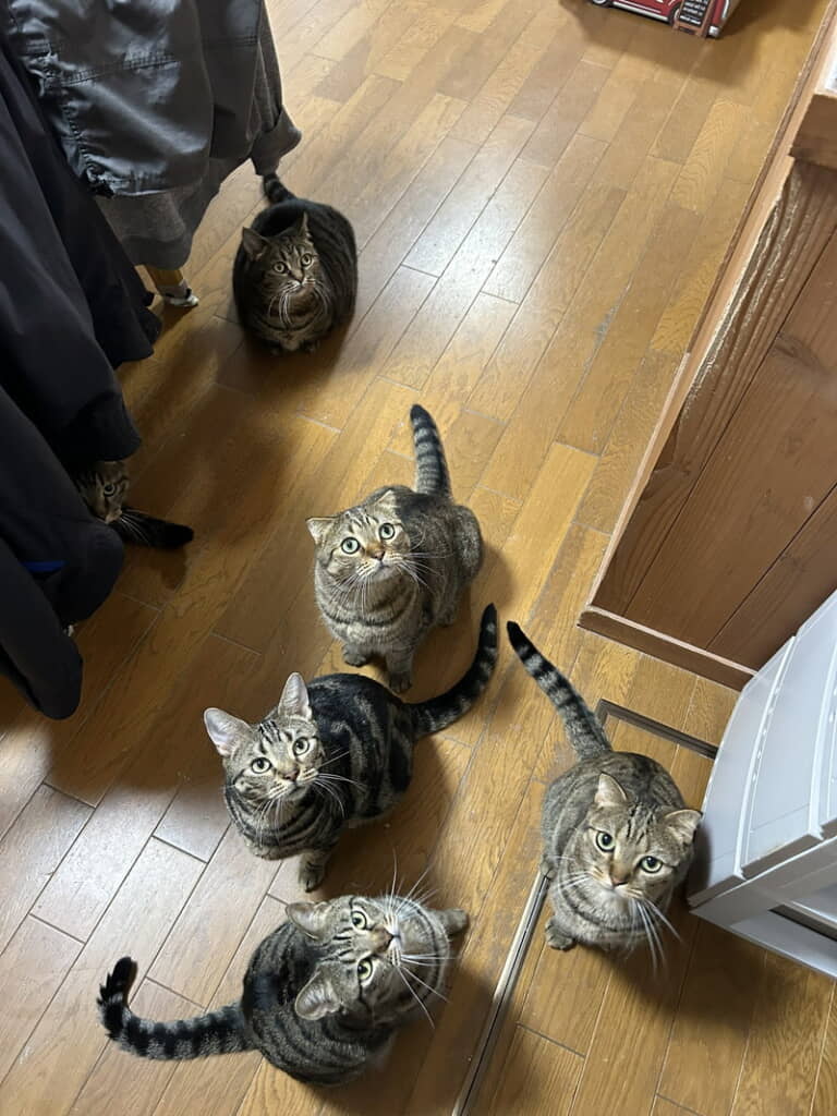 そろそろごはんの時間かな？
