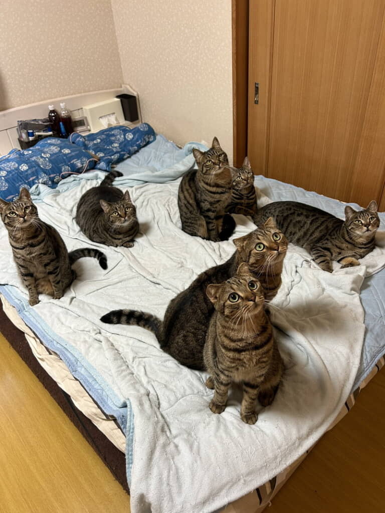 ベッドに集合！
