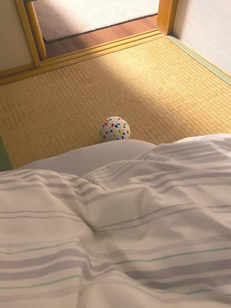 ひるねちゃんが枕元に置いてくれたボール