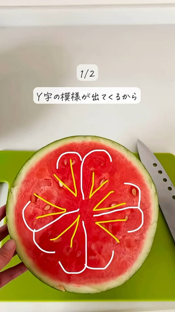 断面をよく見てV字に切り分けます