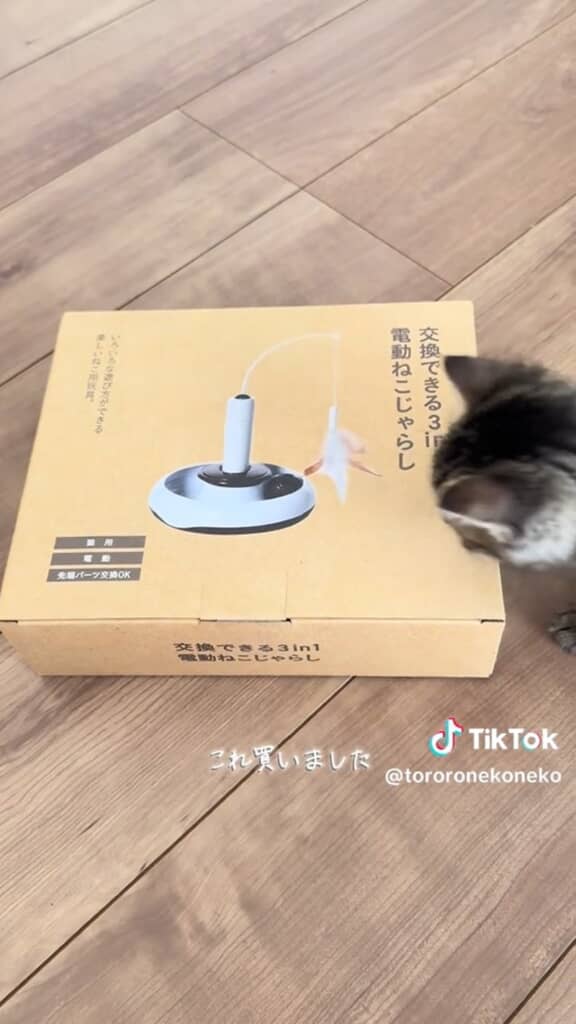 秘密兵器投入！