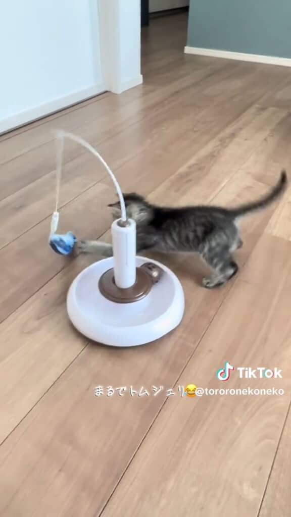 トムとジェリー感がすごい