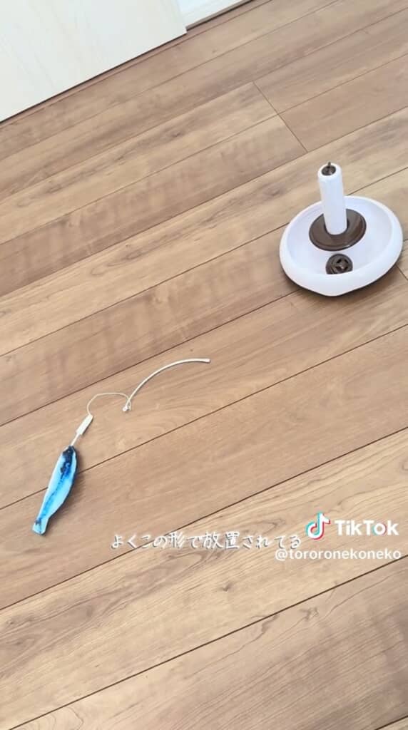 勢いよく回る魚を追いかけ回した結果……