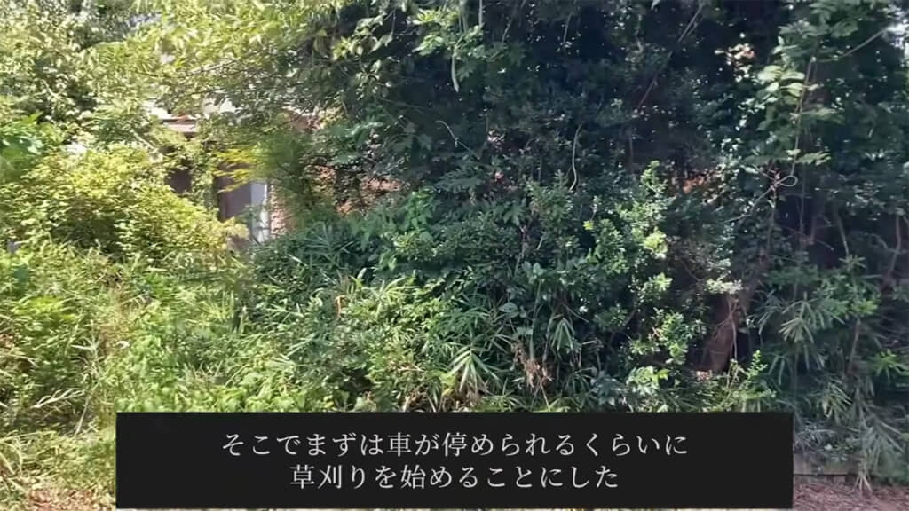 家が見えないほど草木が生い茂っています