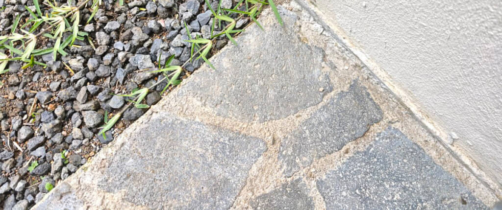 日本ではなくコスタリカでの出来事