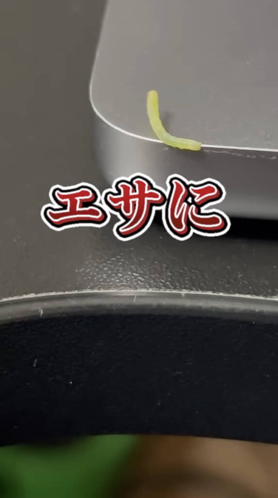 PCにおしっこしてしまう