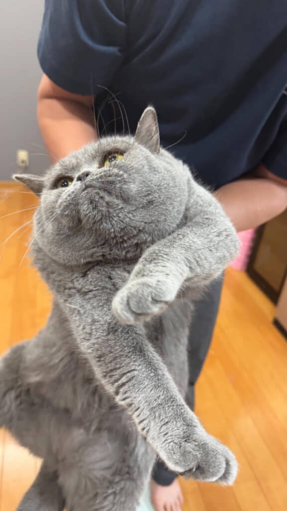 捕まったアキちゃんのお顔に注目