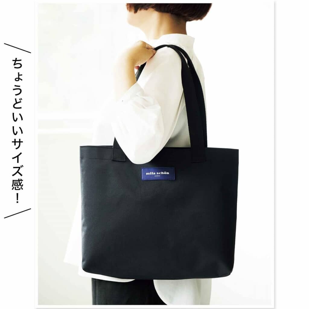 サブバッグや1泊旅行、推し活にもちょうどいい大きさ　出典：宝島社